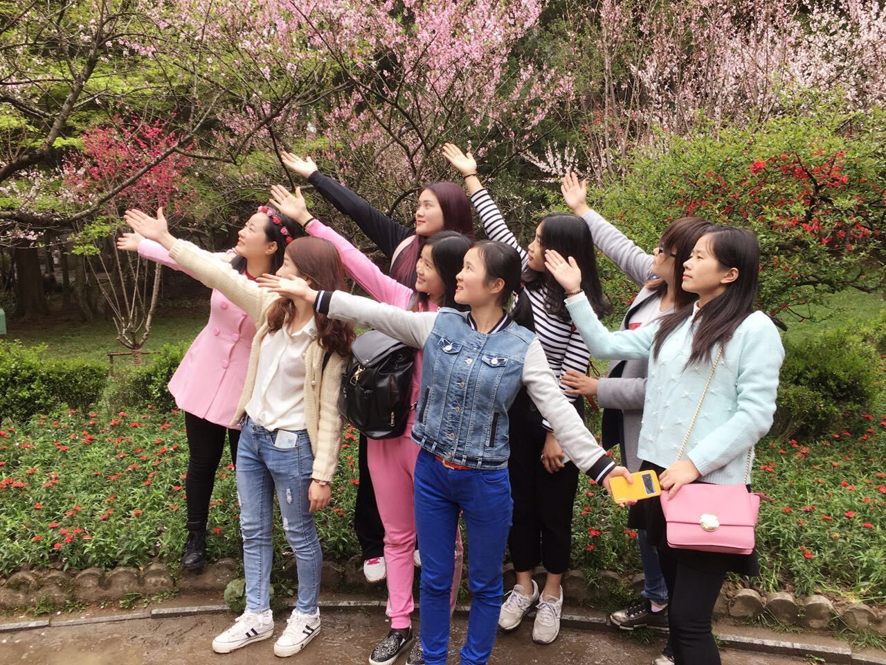濟(jì)寧物聯(lián)網(wǎng)卡平臺(tái)之搜浪團(tuán)隊(duì)廬山游活動(dòng)